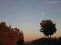 /album/the-sisters-journal-/img-0545-jpg/