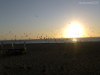 /album/galeria-de-fotos-o-encanto-das-sete-saias-/hpim8874-jpg/