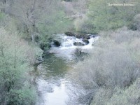 /album/the-sisters-journal-/a547001-308203302618826-225898005-n-jpg/
